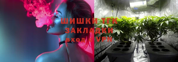 spice Белокуриха