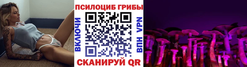 Купить где  Остров  Псилоцибиновые грибы мухоморы 